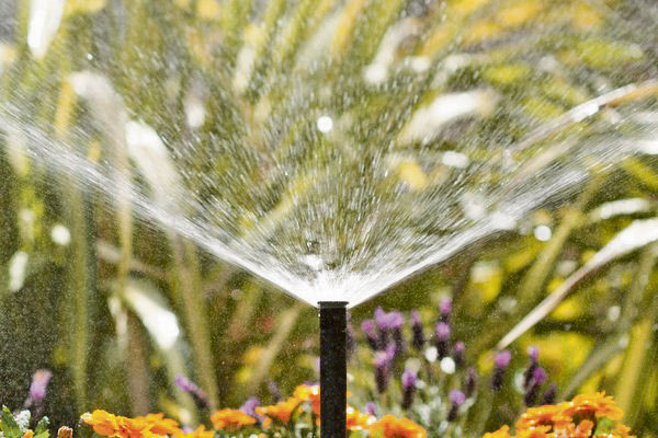 Bewässerungsanlage im Garten